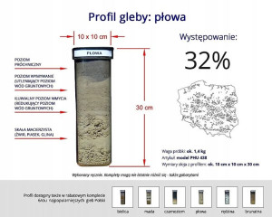 Profil gleby gleba próbki płowej PHU438