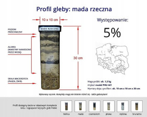 Profil gleby gleba próbki - mady rzecznej PHU441