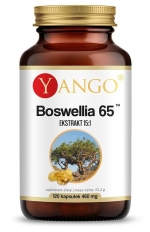Boswellia 65 (120 kaps.)