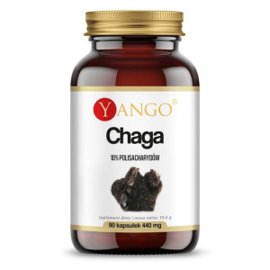 Chaga - ekstrakt 10% polisacharydów (90 kaps.)