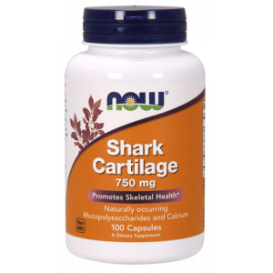 Shark Cartilage - Chrząstka rekina (100 kaps.)