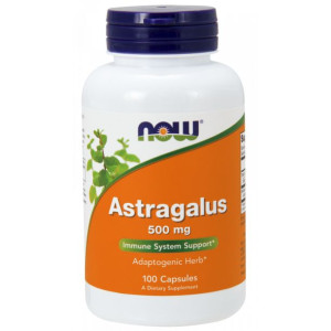Astragalus - Traganek 500 mg (100 kaps.)