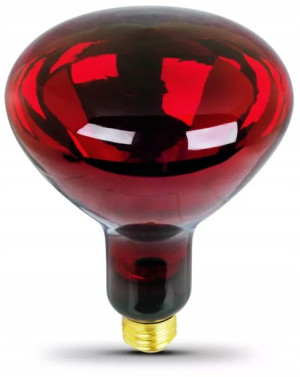 Żarówka Do Lamp Na Podczerwień SOLLUX E27