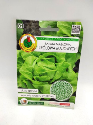 Sałata Królowa Majowych Nswpo014