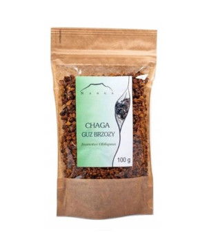 Czaga guz brzozy 100g NANGA