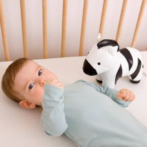 Little Big Friends, ZEBRA Robert – POZYTYWKA – Menuet - Bach