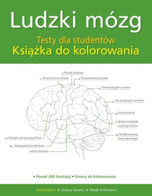 Ludzki mózg. Testy dla studentów. Książka do kolorowania