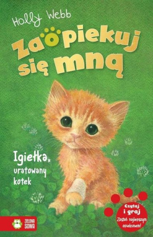 Zaopiekuj się mną. Igiełka uratowany kotek