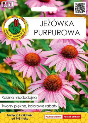 Nasiona JEŻÓWKA PURPUROWA 1g miododajne