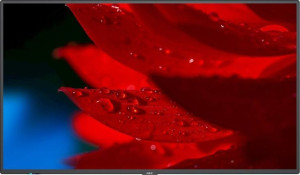 Monitor NEC 55" 60005056