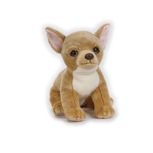 Chihuahua Maskotka (770683)