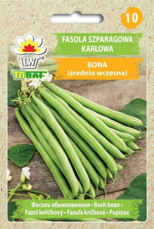 Fasola szparagowa karłowa Bona średnio - wczesna zielona fasolka - nasiona