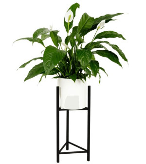 Stojak na donice Belfort L Black  22x50