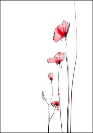Maki - plakat 59,4x84,1 cm