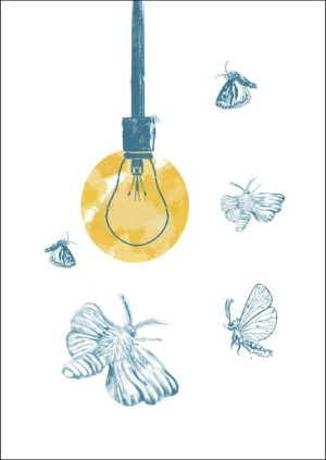 Ćmy - plakat 21x29,7 cm