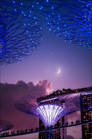 Singapur, Księżyc - plakat premium 20x30 cm
