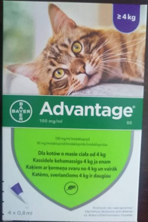Bayer Advantage 4x0,8 ml Roztwór Krople Na Pchły Dla Kota Powyżej 4 kg