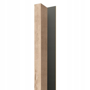 LAMELE PREMIUM zestaw 1 LAMEL +1 listwa ozdobna 3D