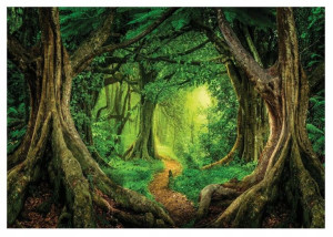 Fototapeta LAS DRZEWA 3D Natura Krajobraz 254x184