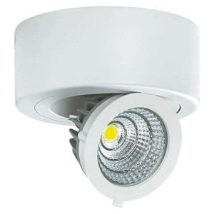 Oczko LAMPA natynkowa IGOR LED 9W 4000K 03126 Ideus metalowa OPRAWA sufitow