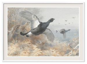  Obraz olejny ręcznie malowany 53x73cm Zwierzęta