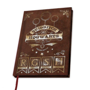 Notes Quidditch - Harry Potter