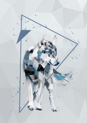 Wilk - plakat 60x80 cm