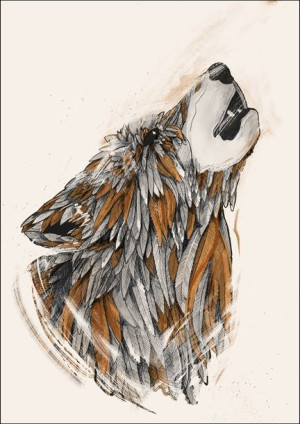 Feathered Wolf 2 - plakat 50x70 cm