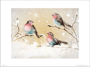 Christmas Vintage Robins - plakat premium 50x40 cm