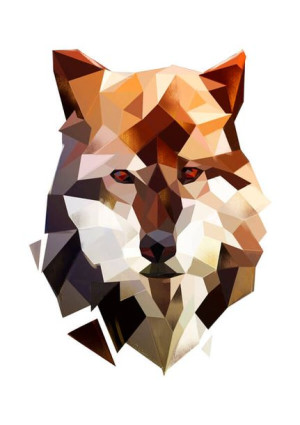 Wilk białe tło - plakat 20x30 cm