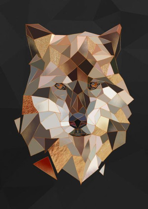 Wilk brąz - plakat 42x59,4 cm