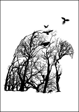 Orzeł - plakat 70x100 cm