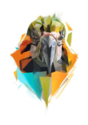 Papuga Ara - plakat 21x29,7 cm