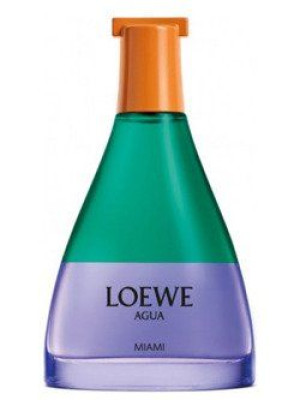 Loewe Agua Miami Edt 100ml Oryginał