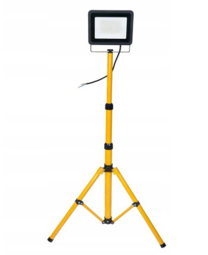 Statyw+ naświetlacz 100W B. Neutralna