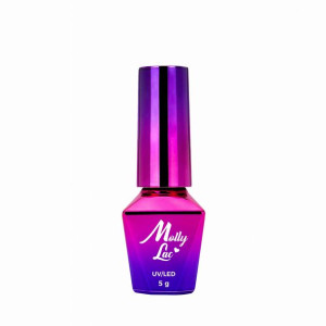 Top nawierzchniowy Mirror Top MollyLac 5 g