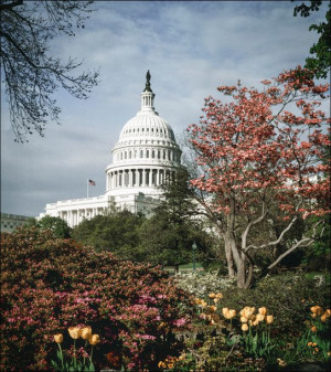 Capitol Hill, Washington - plakat 20x30 cm
