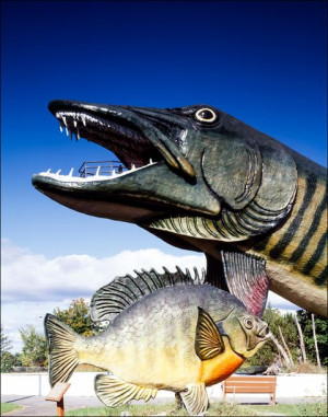 Mammoth Muskie at the Fishing Hall of Fame in Wisc