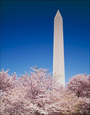 The Washington Monument in Washington, D.C. - plak