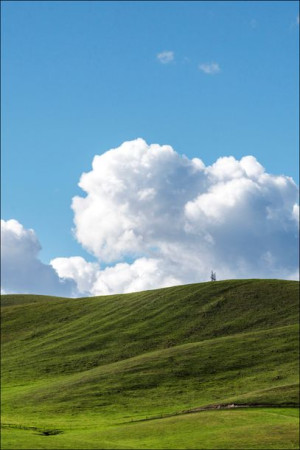 View of the verdant San Joaquin Valley near Gustin