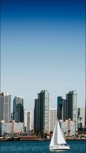 Skyline of San Diego, Calfornia. - plakat 60x80 cm