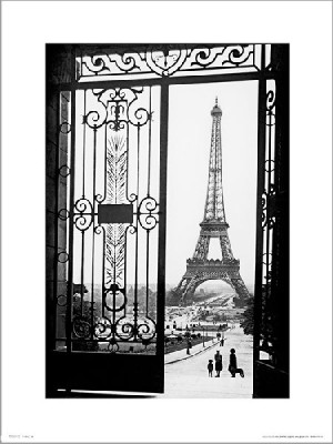 Paris Gates - plakat premium 40x50 cm