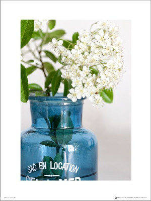 Blue Bottle Flowers - plakat premium 30x40 cm