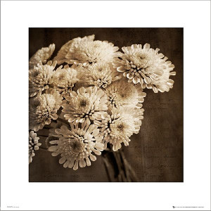 Bukiet Kwiatów Sepia - plakat premium 40x40 cm