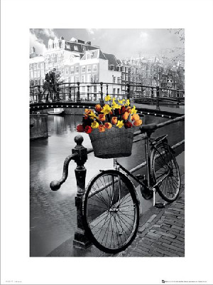Amsterdam Bike - plakat premium 30x40 cm