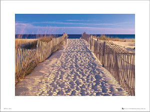 Beach Pathway - plakat premium 40x30 cm
