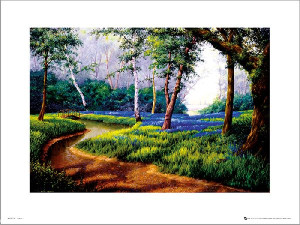 Bluebell Woods - plakat premium 40x30 cm