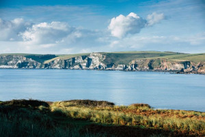 Burgh Island Cliffs - plakat premium 91,5x61 cm