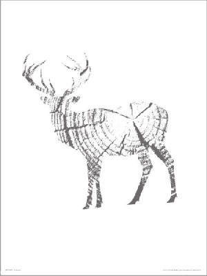 Deer Wood - plakat premium 40x50 cm