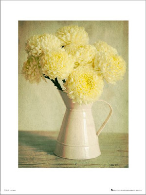Dzban Kwiatów - plakat premium 30x40 cm